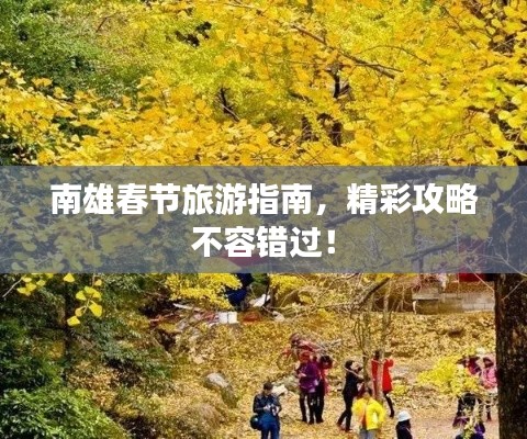 南雄春节旅游指南，精彩攻略不容错过！