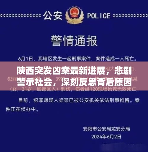 陕西突发凶案最新进展，悲剧警示社会，深刻反思背后原因