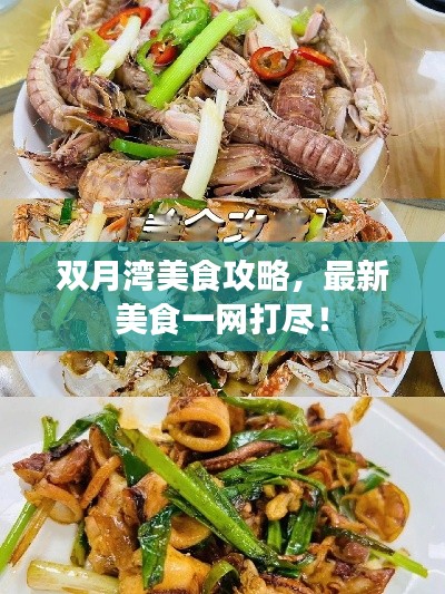 双月湾美食攻略，最新美食一网打尽！