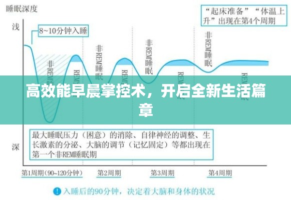 高效能早晨掌控术，开启全新生活篇章