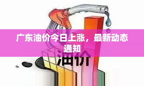 广东油价今日上涨，最新动态通知