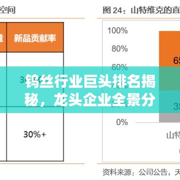 钨丝行业巨头排名揭秘，龙头企业全景分析