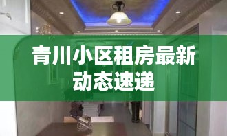 青川小区租房最新动态速递