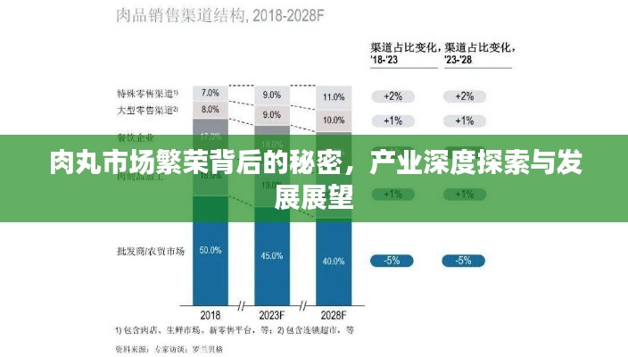 肉丸市场繁荣背后的秘密，产业深度探索与发展展望