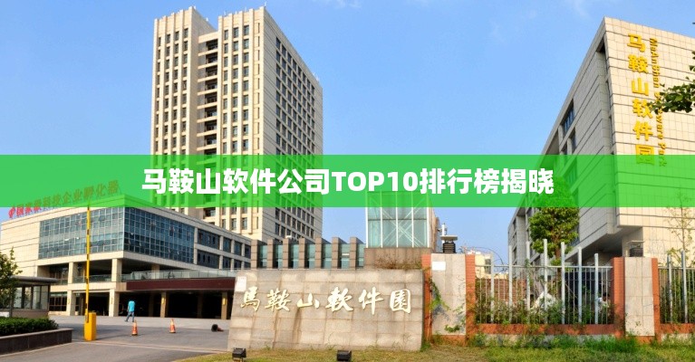 马鞍山软件公司TOP10排行榜揭晓