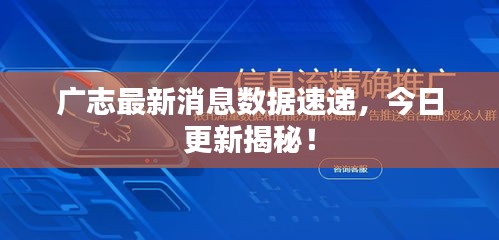 广志最新消息数据速递，今日更新揭秘！