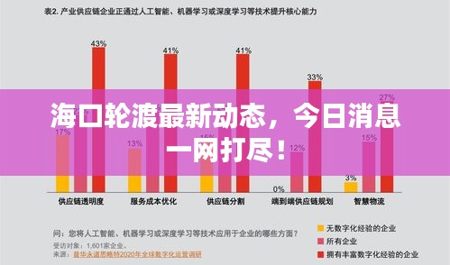 海口轮渡最新动态，今日消息一网打尽！