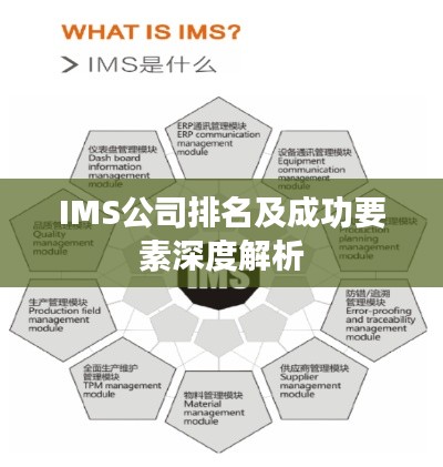 IMS公司排名及成功要素深度解析