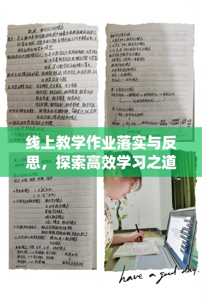 线上教学作业落实与反思，探索高效学习之道