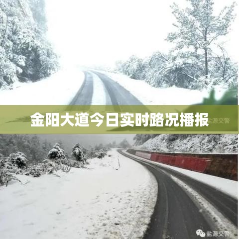 金阳大道今日实时路况播报