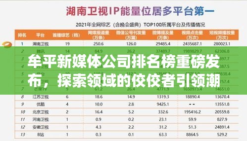 牟平新媒体公司排名榜重磅发布，探索领域的佼佼者引领潮流