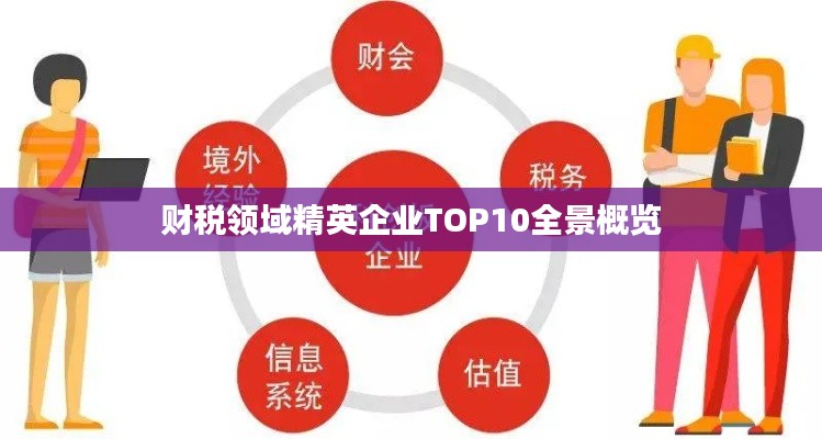 财税领域精英企业TOP10全景概览