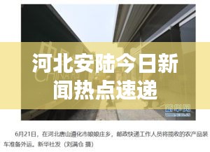 河北安陆今日新闻热点速递