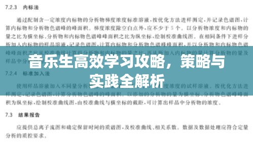 音乐生高效学习攻略，策略与实践全解析