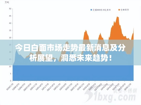 今日白面市场走势最新消息及分析展望，洞悉未来趋势！