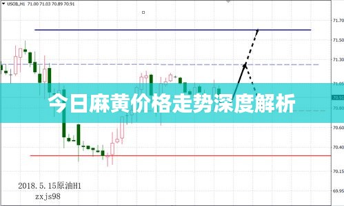 今日麻黄价格走势深度解析