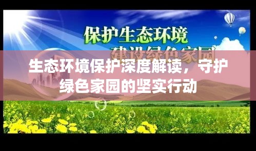 生态环境保护深度解读，守护绿色家园的坚实行动