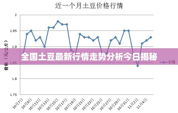 全国土豆最新行情走势分析今日揭秘