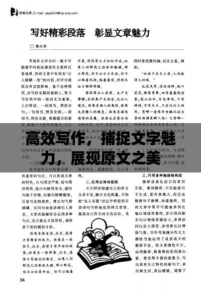 高效写作，捕捉文字魅力，展现原文之美