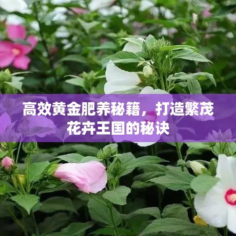 高效黄金肥养秘籍，打造繁茂花卉王国的秘诀