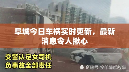 阜城今日车祸实时更新，最新消息令人揪心