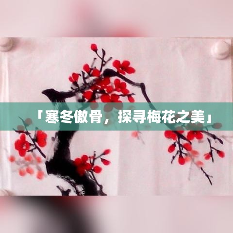 「寒冬傲骨，探寻梅花之美」