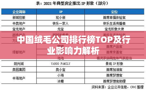 中国绒毛公司排行榜TOP及行业影响力解析