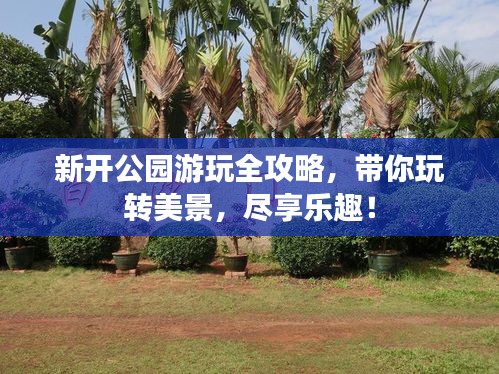 新开公园游玩全攻略，带你玩转美景，尽享乐趣！