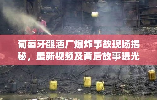 葡萄牙酿酒厂爆炸事故现场揭秘，最新视频及背后故事曝光
